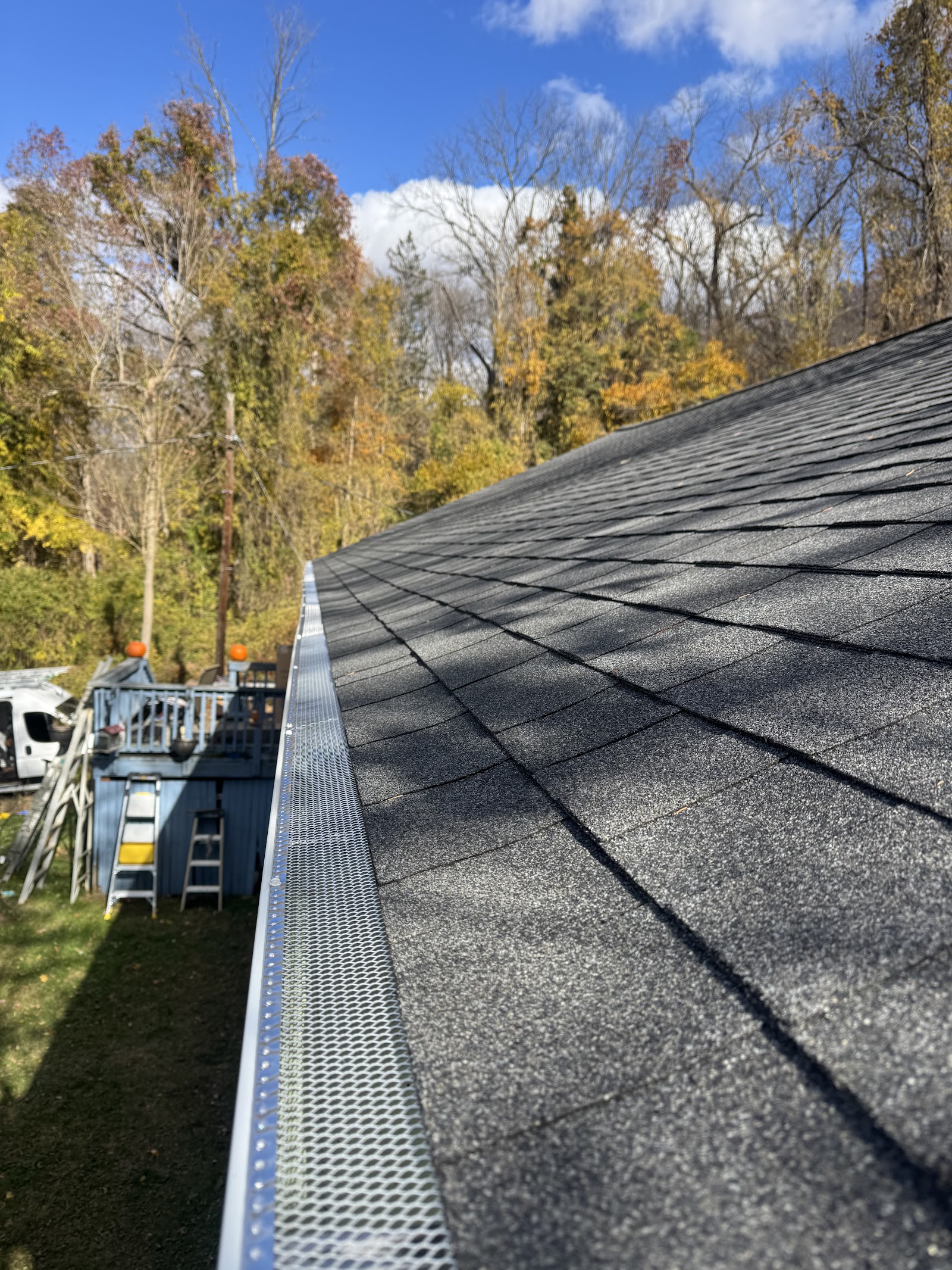 Gutter guard screen fitted along a shingle roof edge