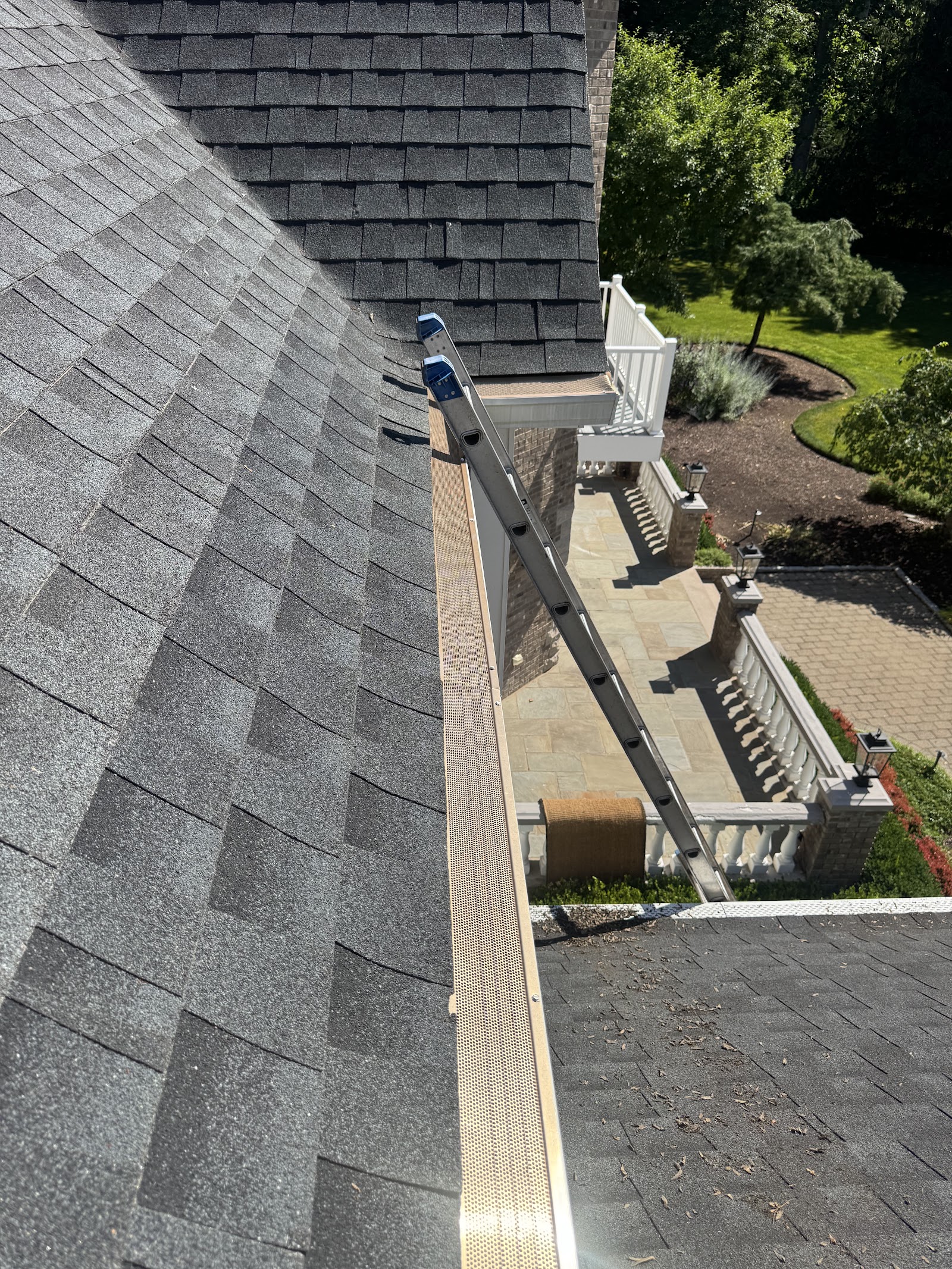 Ladder set on a shingle roof during a gutter cleaning visit